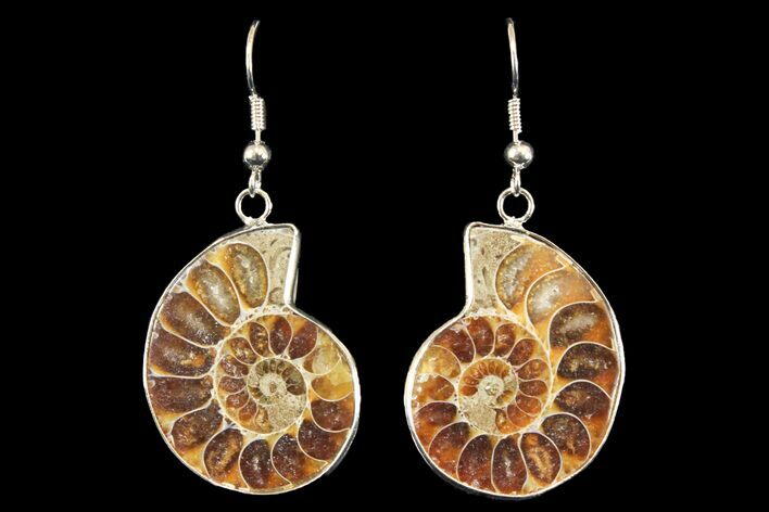 Fossil Ammonite Earrings - Million Years Old #142876